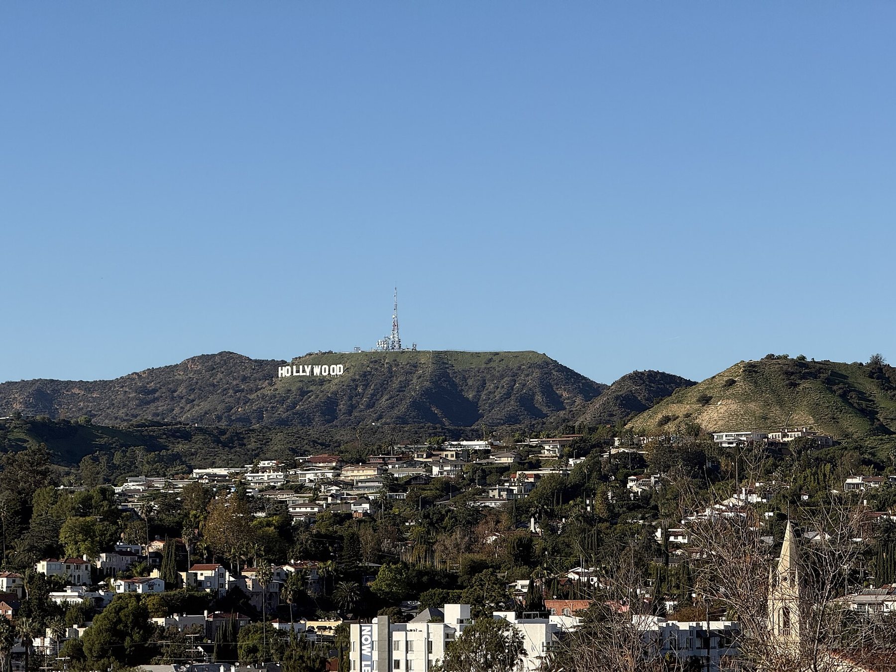 Houses spread across the slopes of the Hollywood Hills in Los Angeles, with the Hollywood Sign on the ridge above