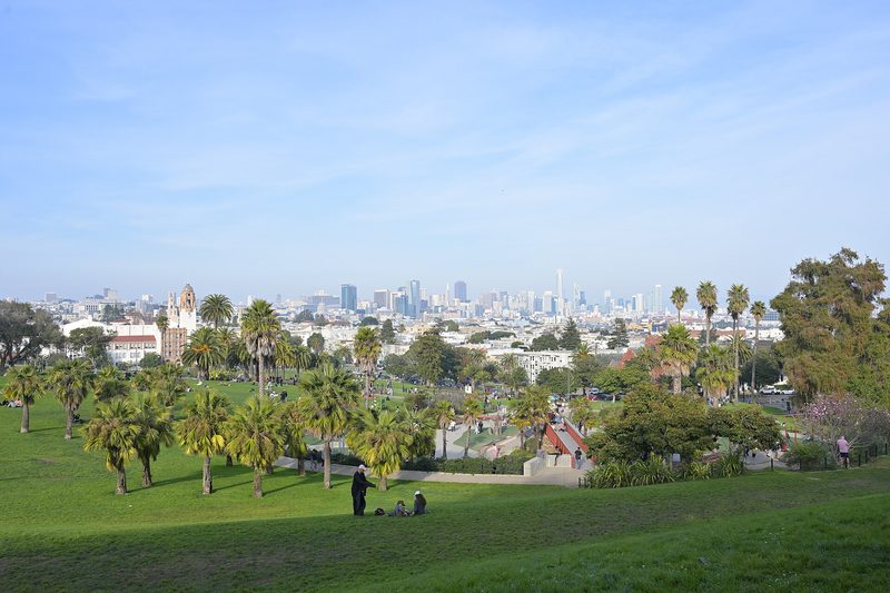 A green park slope with rows of palm trees and a few small figures on the grass, and beyond it the low rooftops and downtown towers of San Francisco under a pale blue sky
