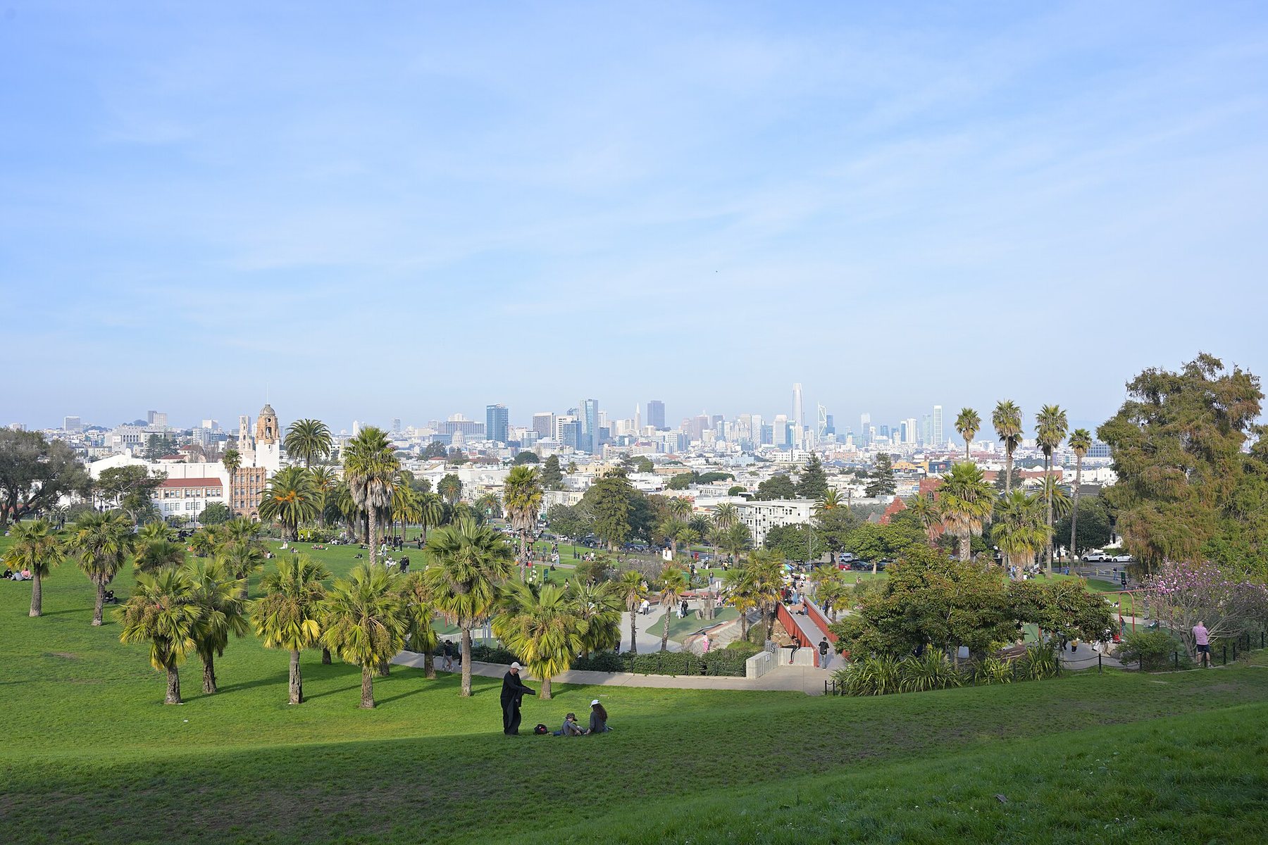 A green park slope with rows of palm trees and a few small figures on the grass, and beyond it the low rooftops and downtown towers of San Francisco under a pale blue sky