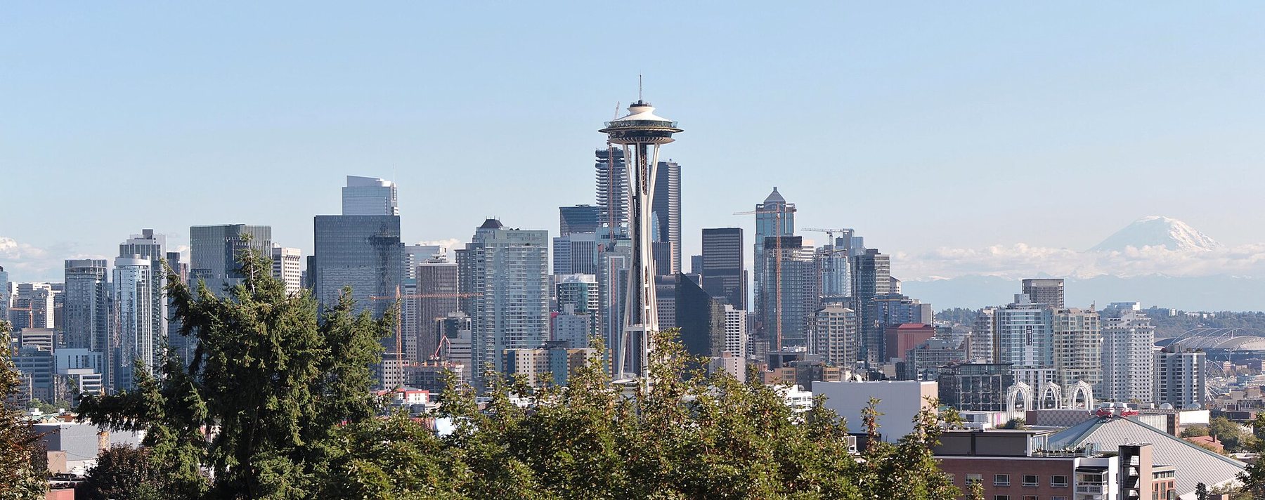 A wide daylight view over treetops to a tall observation tower and the office towers of a downtown skyline, with a snow-covered mountain on the horizon under a clear blue sky