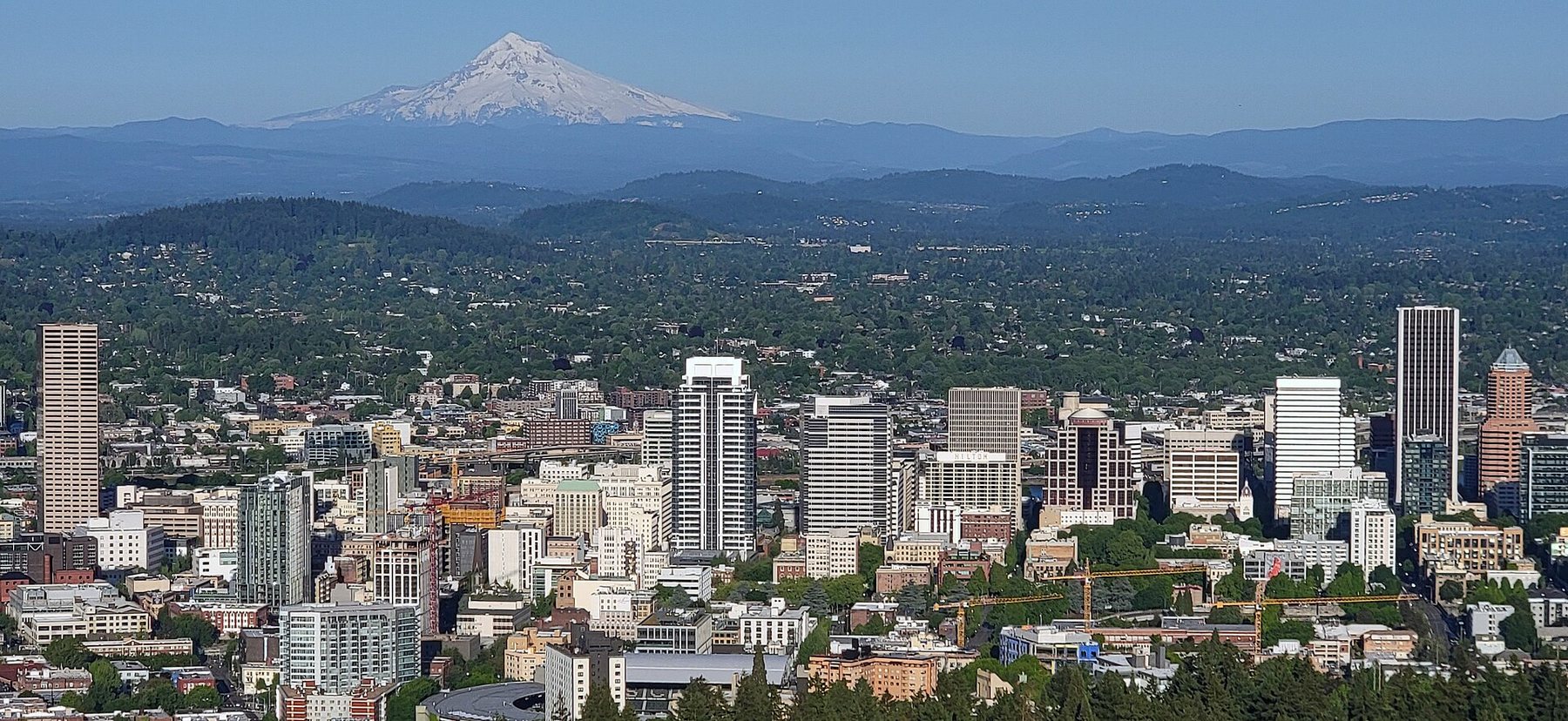 Downtown Portland towers above a band of trees, with snow-covered Mount Hood on the horizon