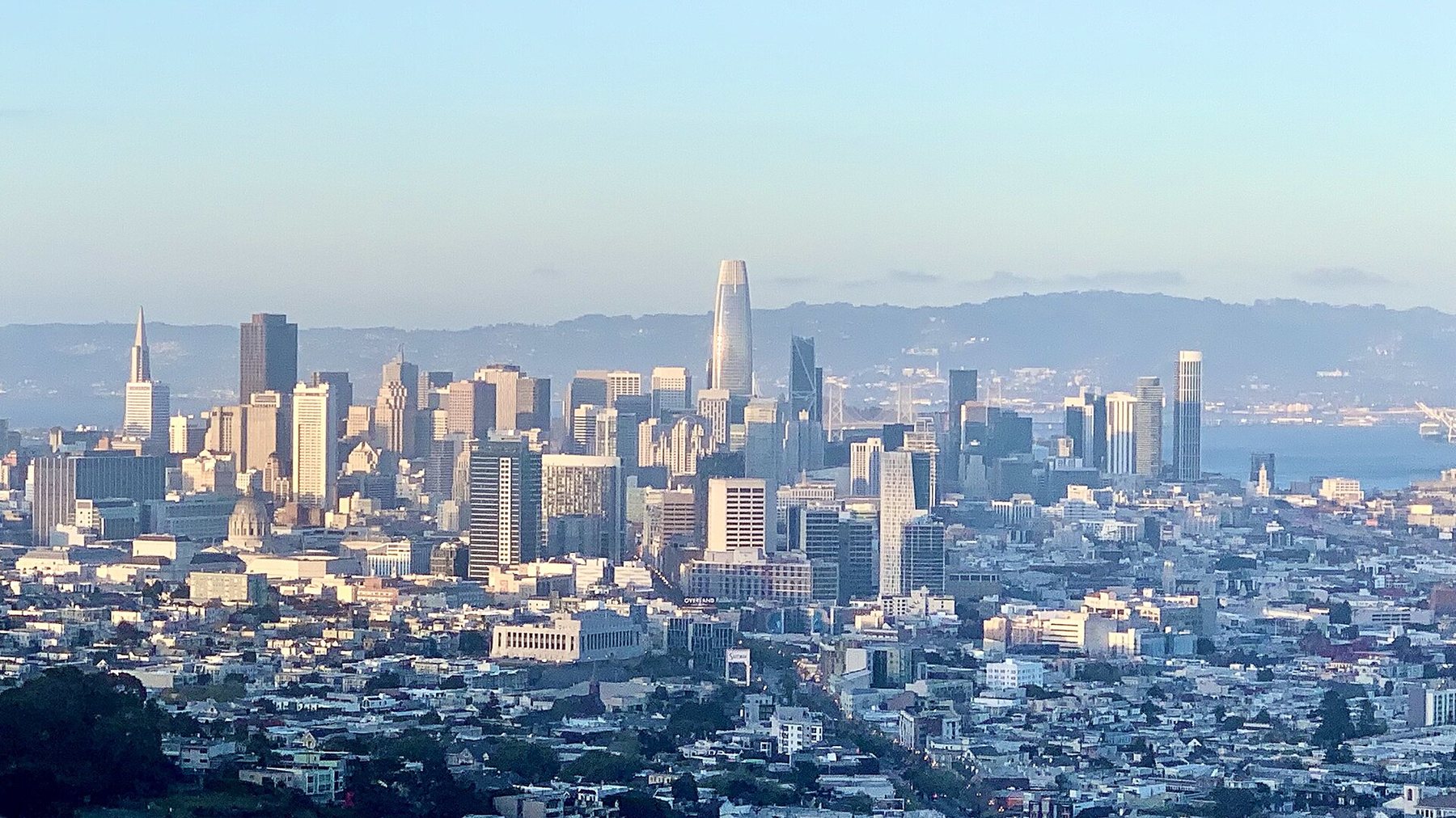 The towers of downtown San Francisco, with the tall rounded Salesforce Tower at the centre, rise above low houses in evening light, with hills across the bay behind.