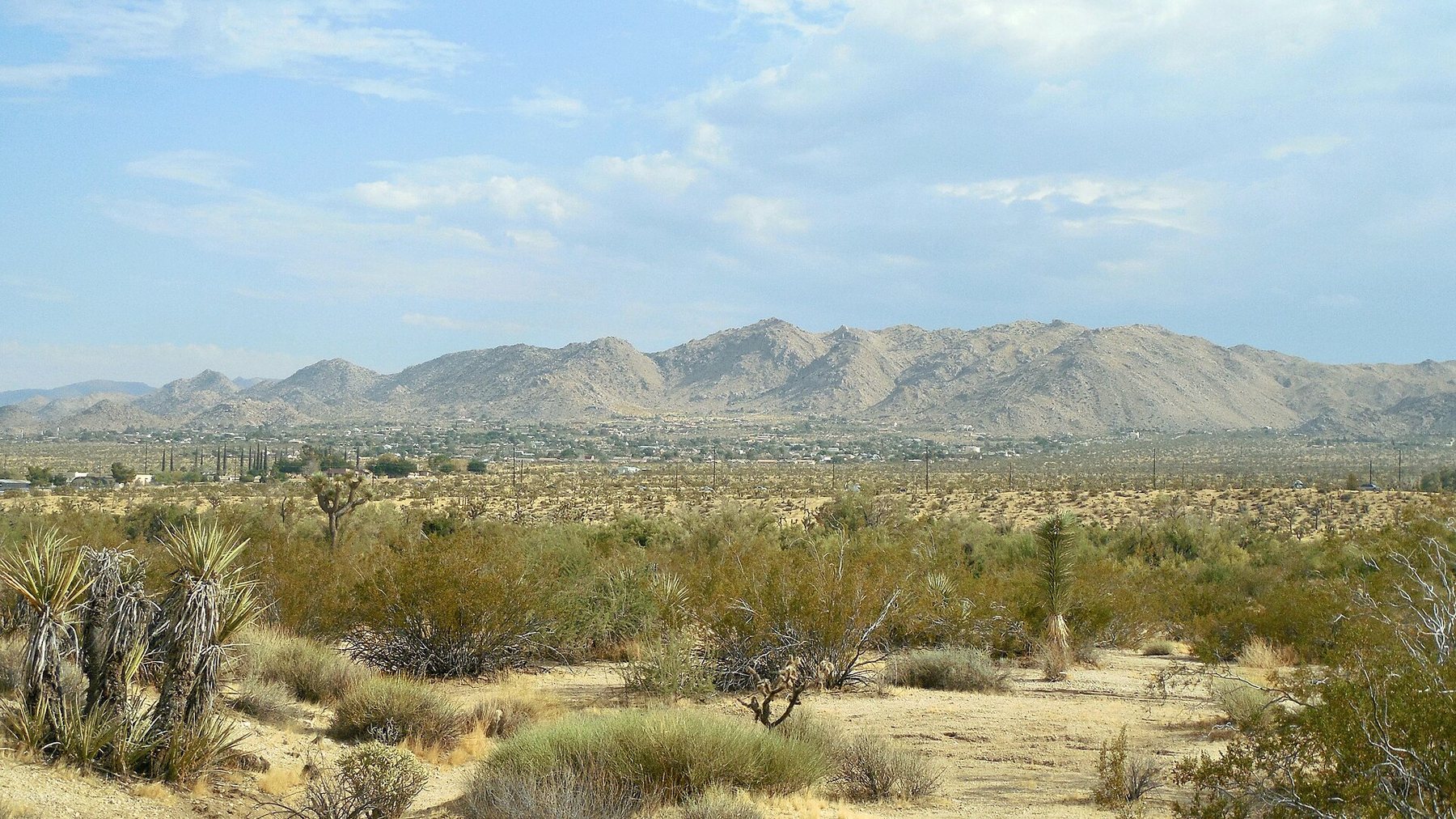Desert scrub and yucca plants in the foreground, the low buildings of the town of Joshua Tree spread across the middle distance, and bare rocky mountains behind under a hazy blue sky.