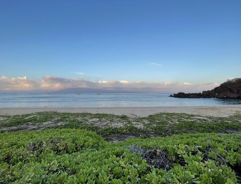 An empty sandy beach at Kaanapali on the western shore of Maui, with low green plants in the foreground, a dark lava rock point at the right, calm sea with a few anchored sailboats, and an island under cloud on the horizon.