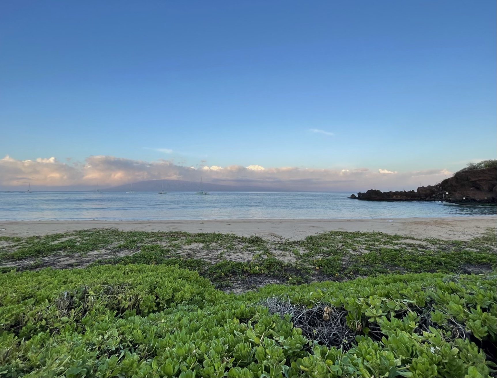 An empty sandy beach at Kaanapali on the western shore of Maui, with low green plants in the foreground, a dark lava rock point at the right, calm sea with a few anchored sailboats, and an island under cloud on the horizon.