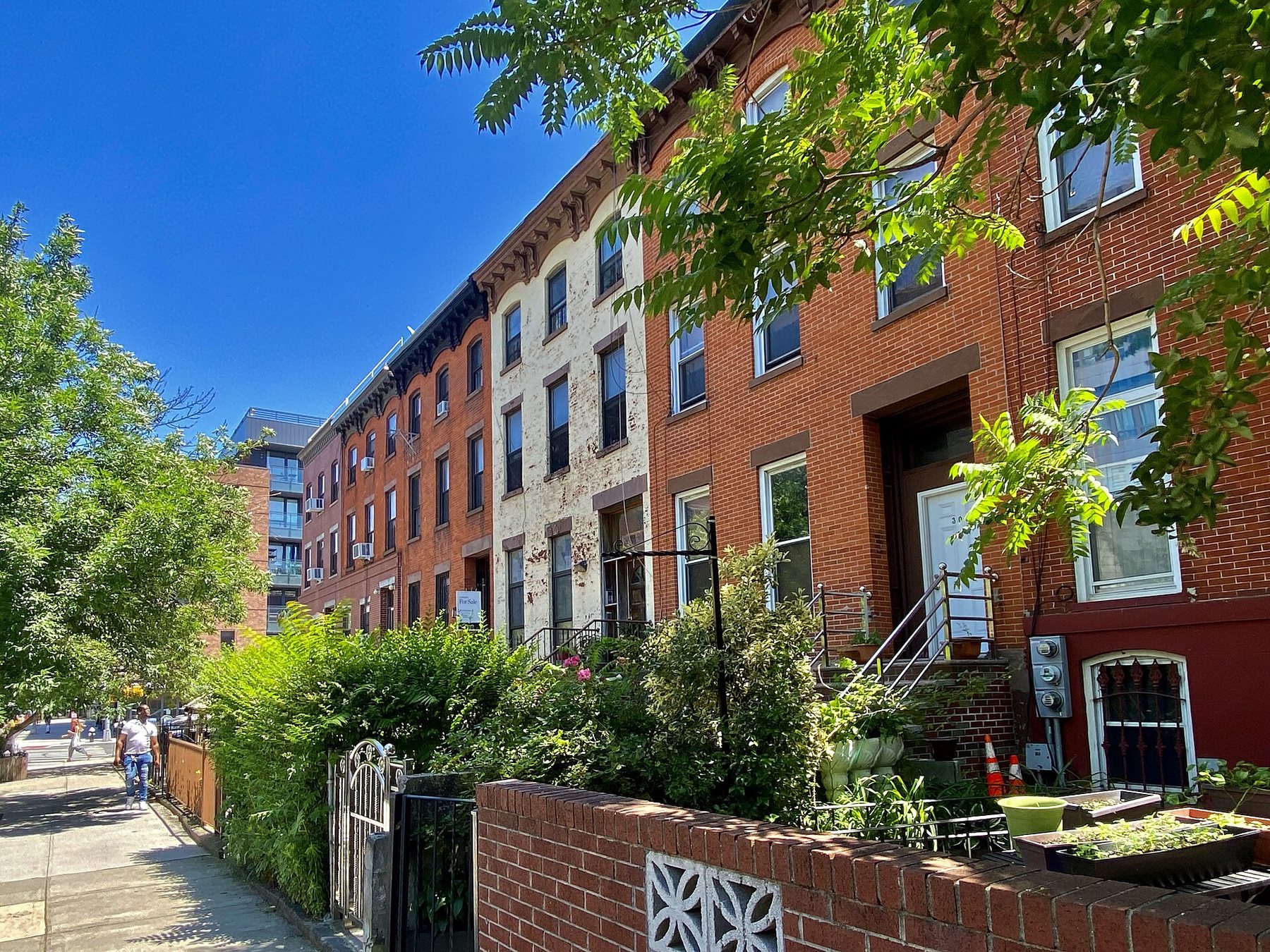 Red-brick and white-painted row houses with stoops and small front gardens line a sunny street in Brooklyn under a blue sky, with a newer apartment block at the far end.