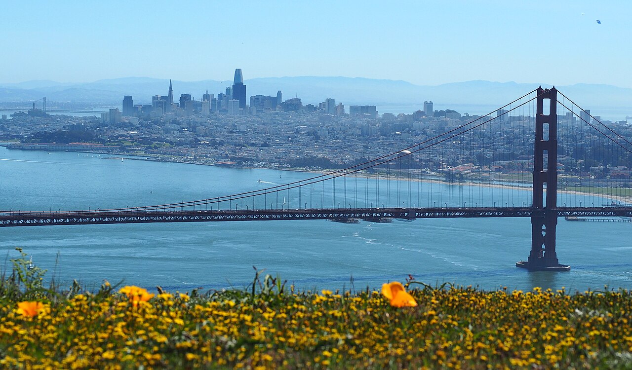 Yellow wildflowers fill the foreground, with a red suspension bridge and a city skyline across the water.