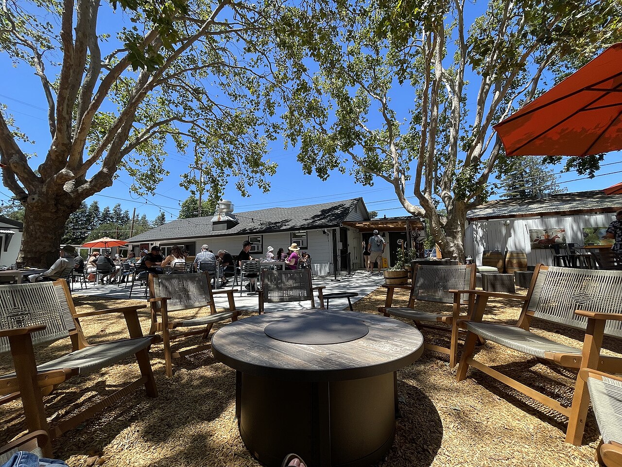 A round metal fire table sits among wooden benches under a large shade tree, with umbrellas and tables behind.