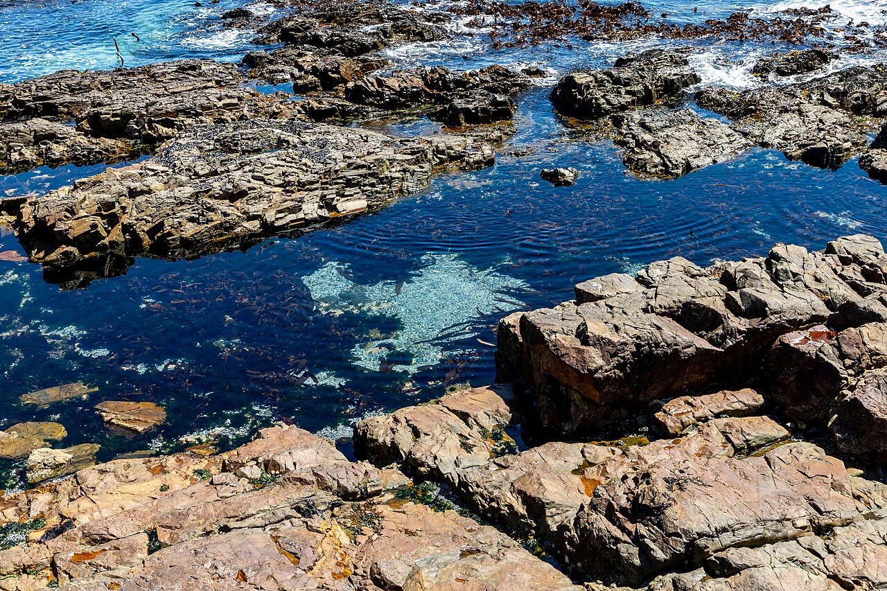 Brown layered rocks surround clear blue tidal pools, with small waves breaking on the outer rocks.