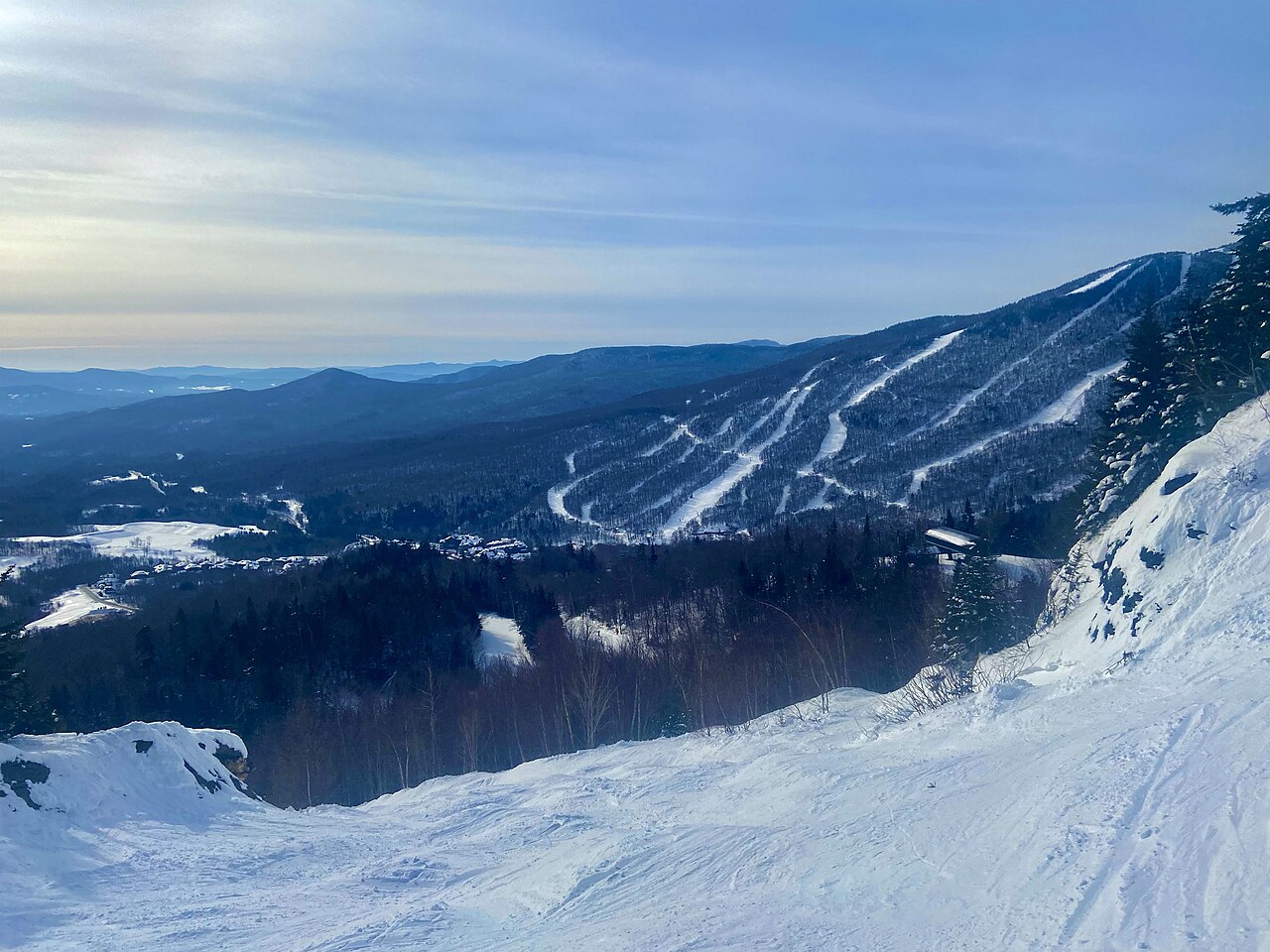 A steep snow-covered slope of moguls in the foreground, facing a forested mountain cut with white ski trails.