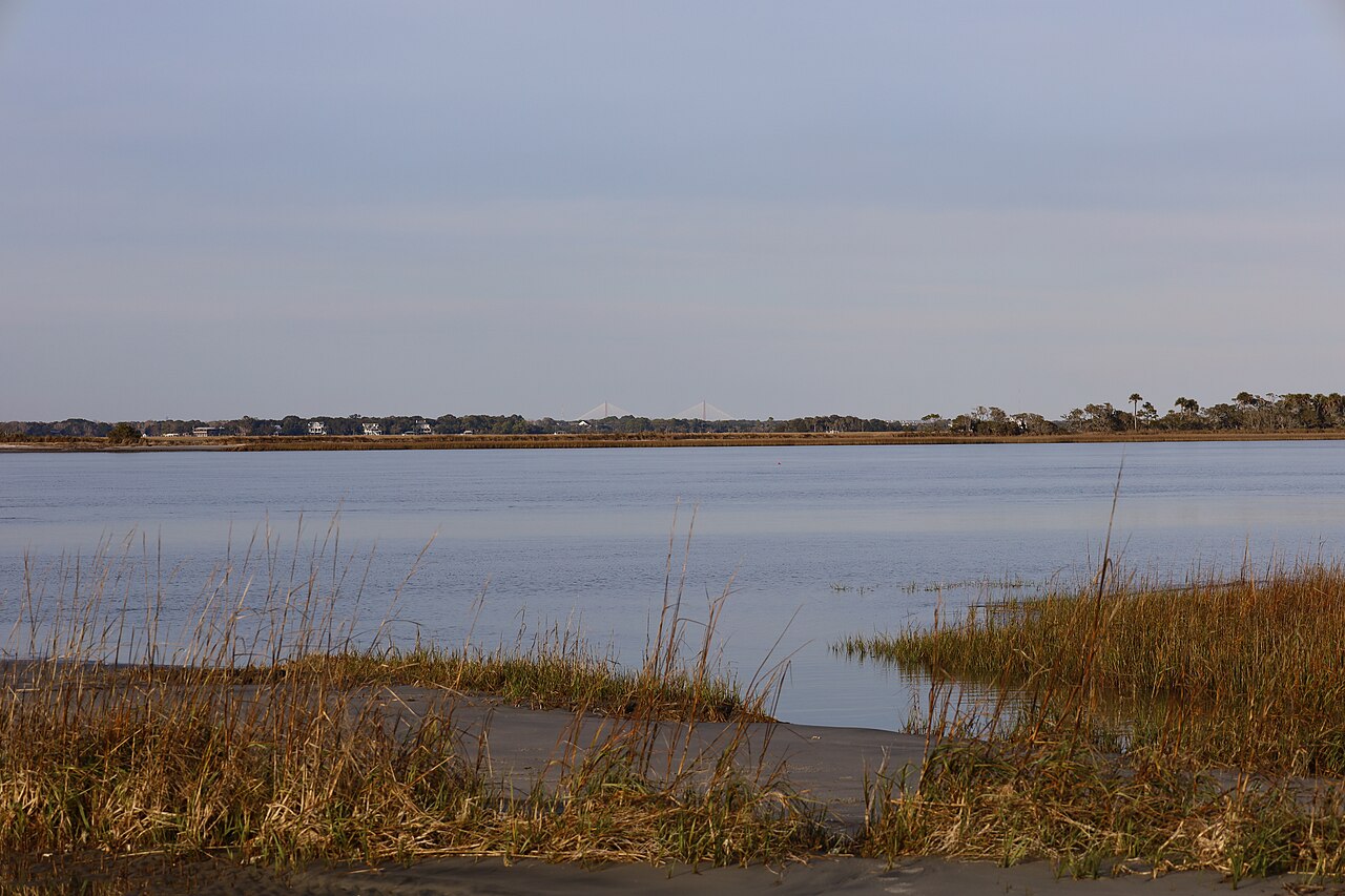 Golden marsh grass at the edge of calm water, with a low far shore and a faint bridge on the horizon.
