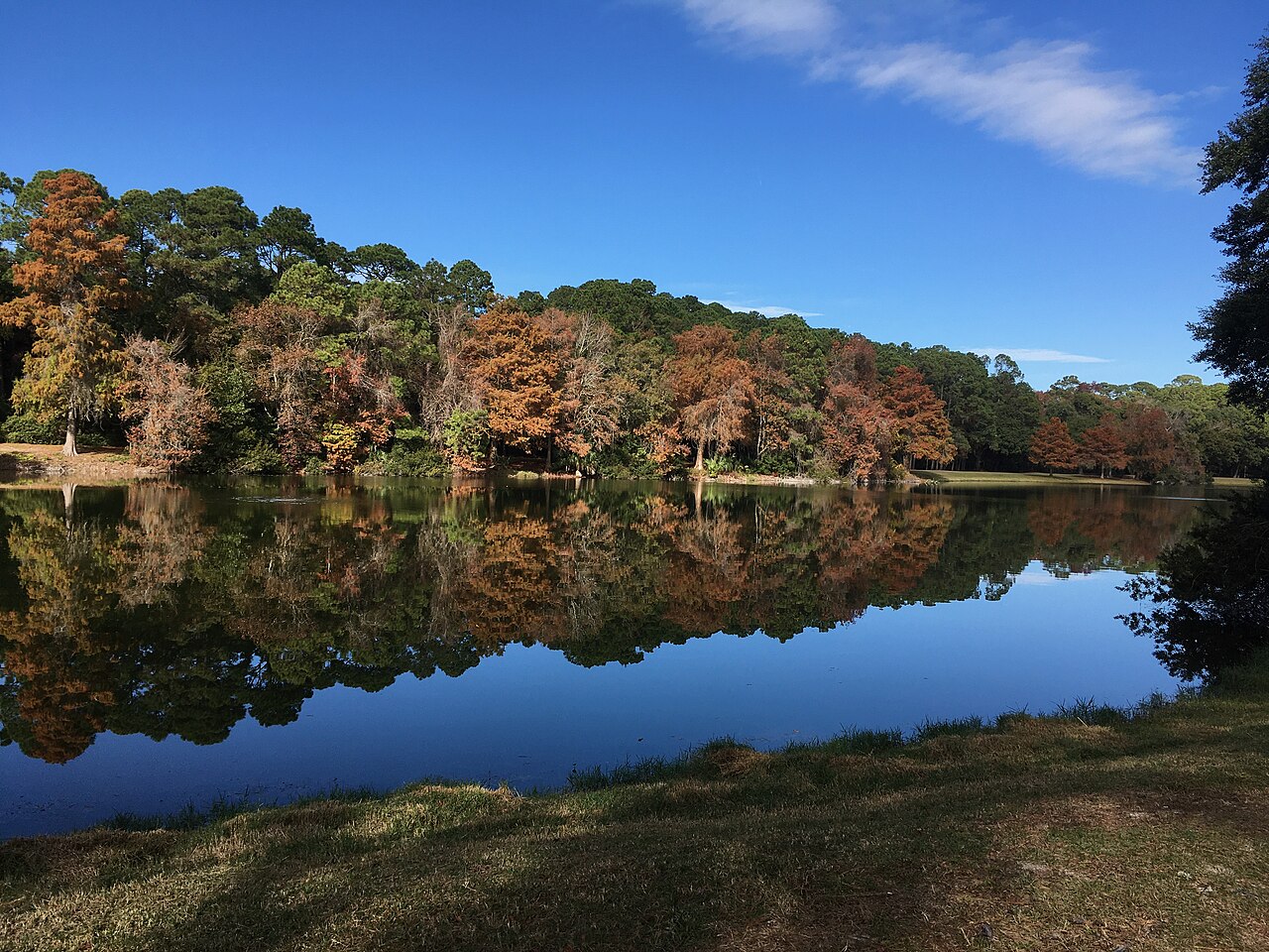 A still lake reflecting a bank of pines and rust-coloured cypress trees under a clear blue sky.