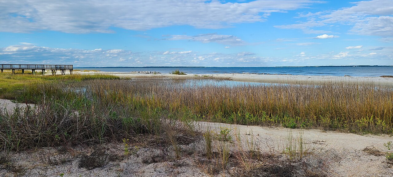 Marsh grass and pale sand in the foreground with a shallow tidal inlet and open water under a blue sky.