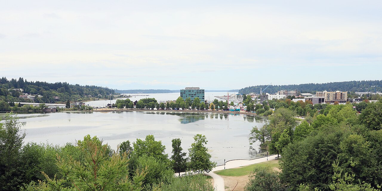 A wide view over treetops to a lake, a low waterfront town and an inlet stretching to the horizon.