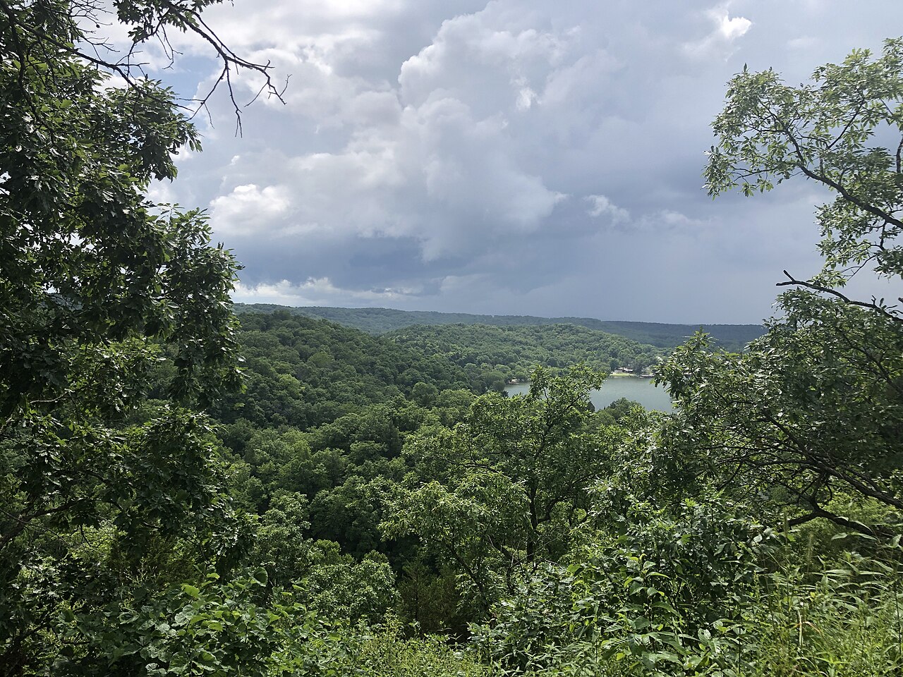 Dense green forest framing a glimpse of water in a valley, under heavy white clouds.