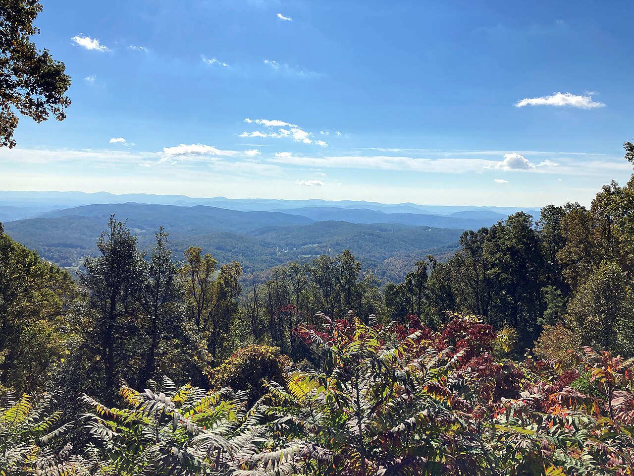 Autumn shrubs and trees in the foreground with blue wooded ridges fading to the horizon under a clear sky.