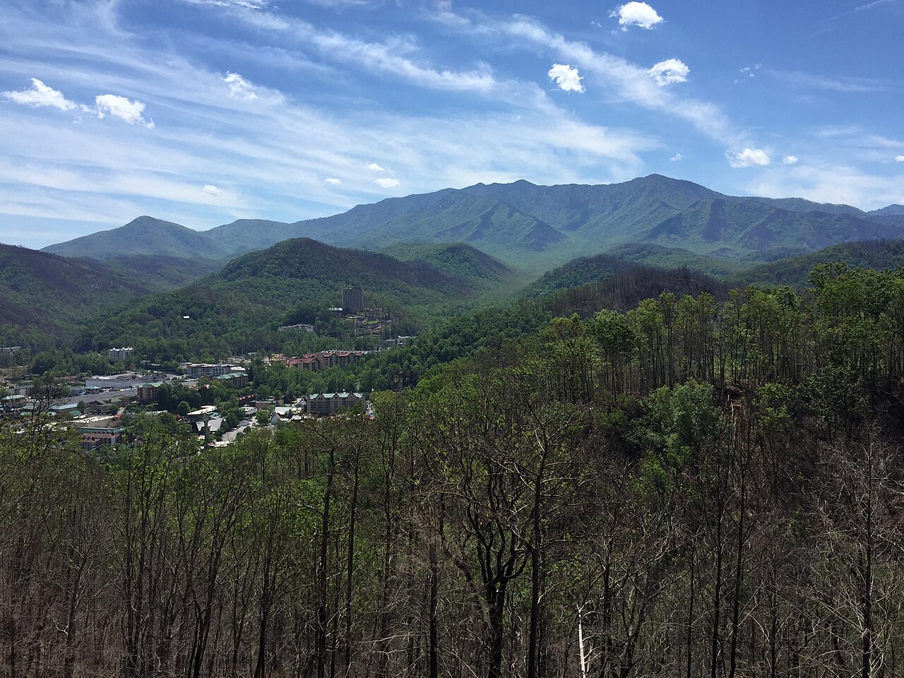 A town spread along a valley floor beneath green forested mountains, viewed over bare treetops under a blue sky.