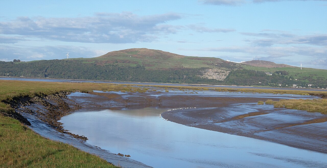 A river winding through tidal mudflats and salt marsh towards a bay, with a rounded hill on the far shore.