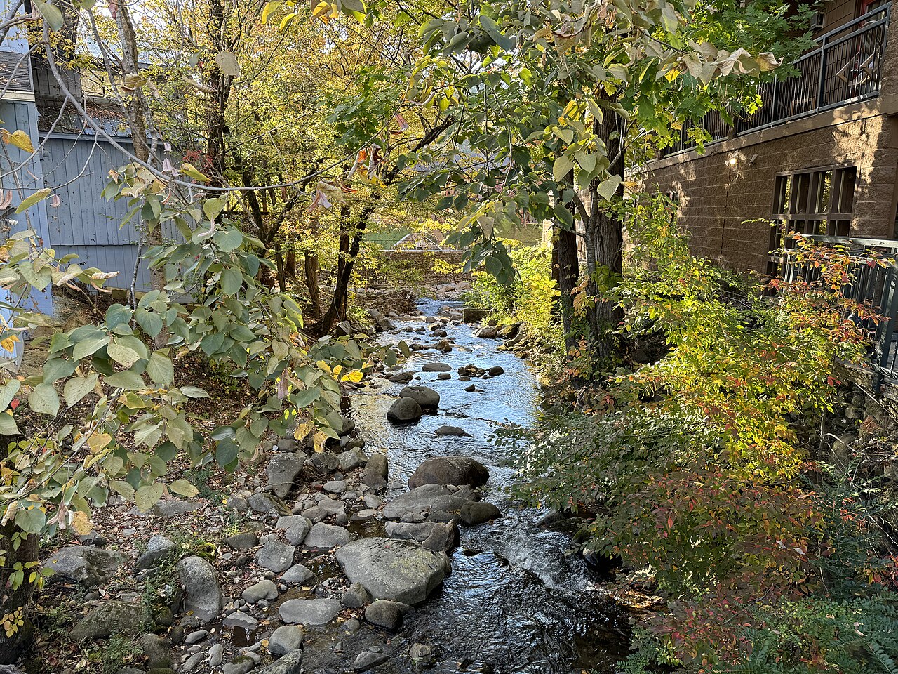 A shallow rocky creek between banks of autumn leaves, with timber buildings close on the right.