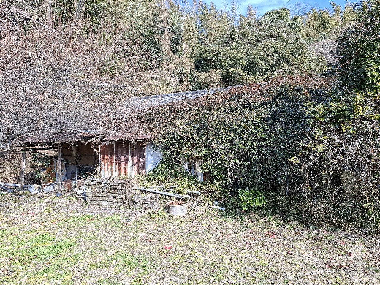 A low single-storey house with a tiled roof almost hidden by creepers and overgrown trees.