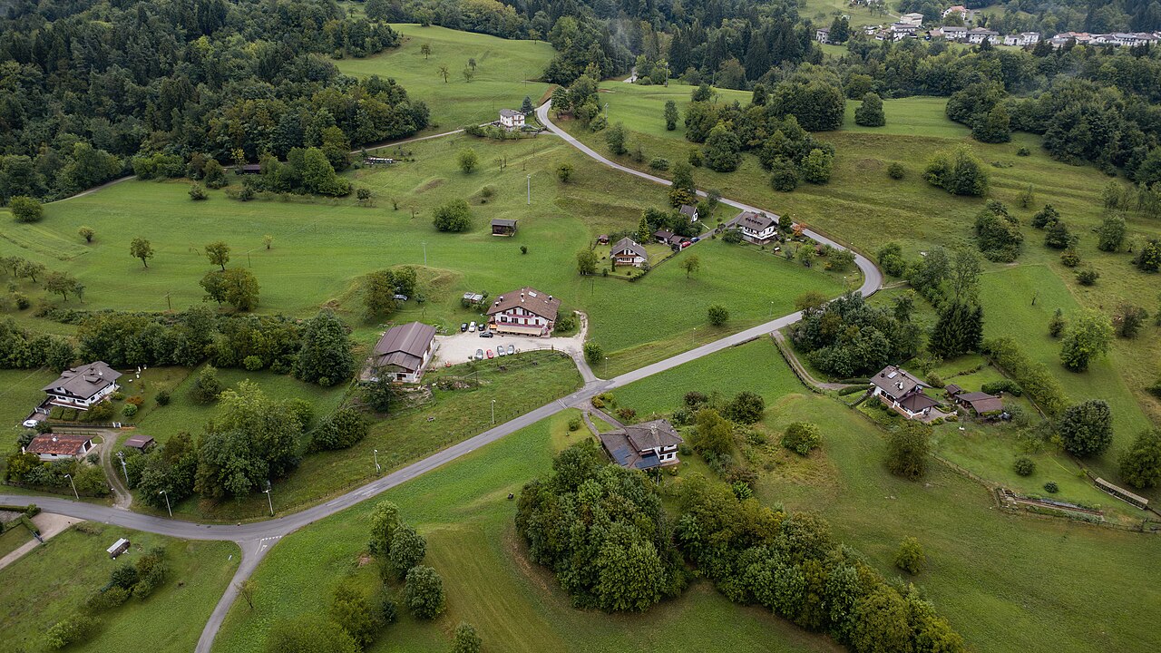 Scattered farmhouses and a winding lane among green meadows and clumps of trees, seen from above.