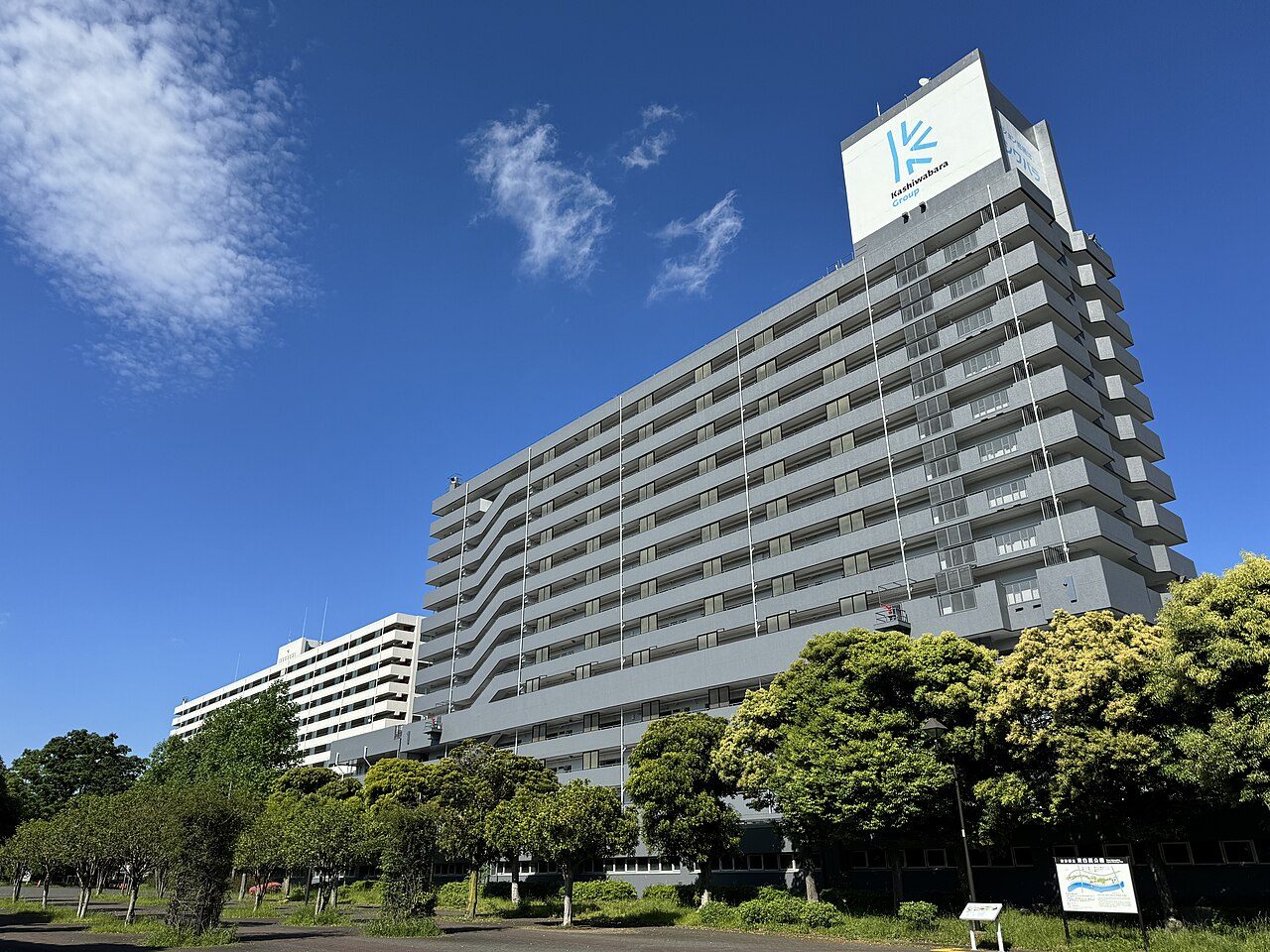 A very long grey slab of apartments, more than ten storeys high, rises behind a line of trees under a blue sky.