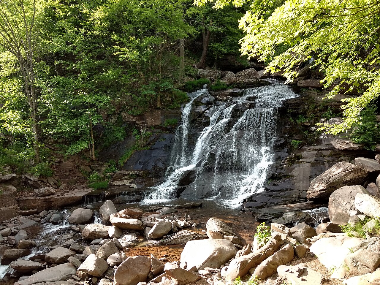 A stream drops over a wide rock ledge into a boulder-filled creek, surrounded by bright green forest.