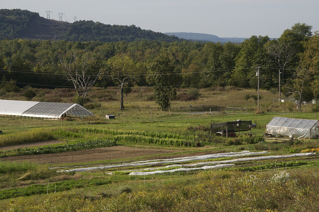 Vegetable plots and low greenhouse tunnels in a green valley, with woods and a distant line of hills behind.