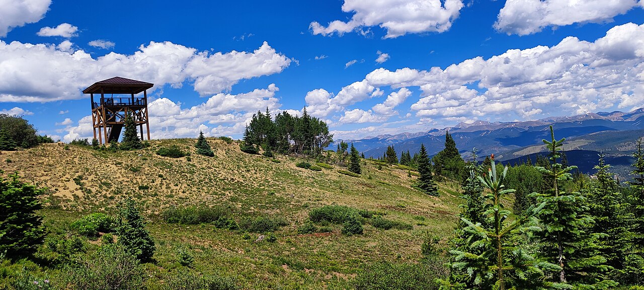 A grassy summer hillside with scattered firs and a wooden lookout tower under a blue sky with white clouds, mountains in the distance.